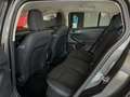 Ford Focus 1.5 EcoBlue 120 CV automatico SW Business Grigio - thumbnail 12