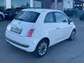 Fiat 500 1.2 easypower Pop Gpl 69cv - thumbnail 3