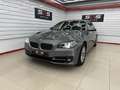 BMW 520 Familiar Automático de Puertas Gris - thumbnail 1