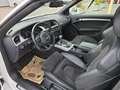 Audi A5 Cabrio 1,8 TFSI Intense Aut. *S-line*Navi* Weiß - thumbnail 13