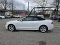 Audi A5 Cabrio 1,8 TFSI Intense Aut. *S-line*Navi* Weiß - thumbnail 8