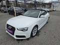 Audi A5 Cabrio 1,8 TFSI Intense Aut. *S-line*Navi* Weiß - thumbnail 18