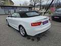 Audi A5 Cabrio 1,8 TFSI Intense Aut. *S-line*Navi* Weiß - thumbnail 7