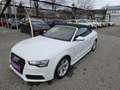 Audi A5 Cabrio 1,8 TFSI Intense Aut. *S-line*Navi* Weiß - thumbnail 10