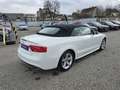 Audi A5 Cabrio 1,8 TFSI Intense Aut. *S-line*Navi* Weiß - thumbnail 5