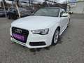 Audi A5 Cabrio 1,8 TFSI Intense Aut. *S-line*Navi* Weiß - thumbnail 1
