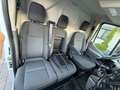 Ford Transit Kasten 350 L3H3 Trend *L3H3 Extrahoch* Weiß - thumbnail 19