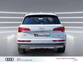 Audi Q5 50 TDI qu ACC Leder virtual+ Kameras advanced Weiß - thumbnail 7
