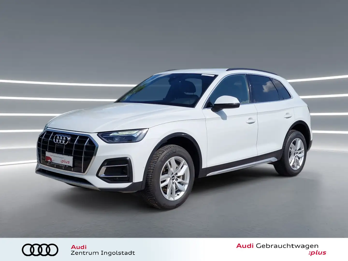 Audi Q5 50 TDI qu ACC Leder virtual+ Kameras advanced Weiß - 2
