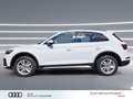 Audi Q5 50 TDI qu ACC Leder virtual+ Kameras advanced Weiß - thumbnail 5