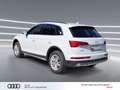 Audi Q5 50 TDI qu ACC Leder virtual+ Kameras advanced Weiß - thumbnail 6