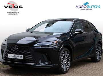 450h+ Executive Line | Panoramadak | 360 Camera |