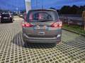 Ford C-Max C-Max7 1.6 tdci Plus 115cv - thumbnail 7