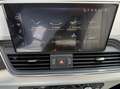 Audi Q5 30 TDI S tronic Camera, Verwarmde Sportzetels... Grijs - thumbnail 10