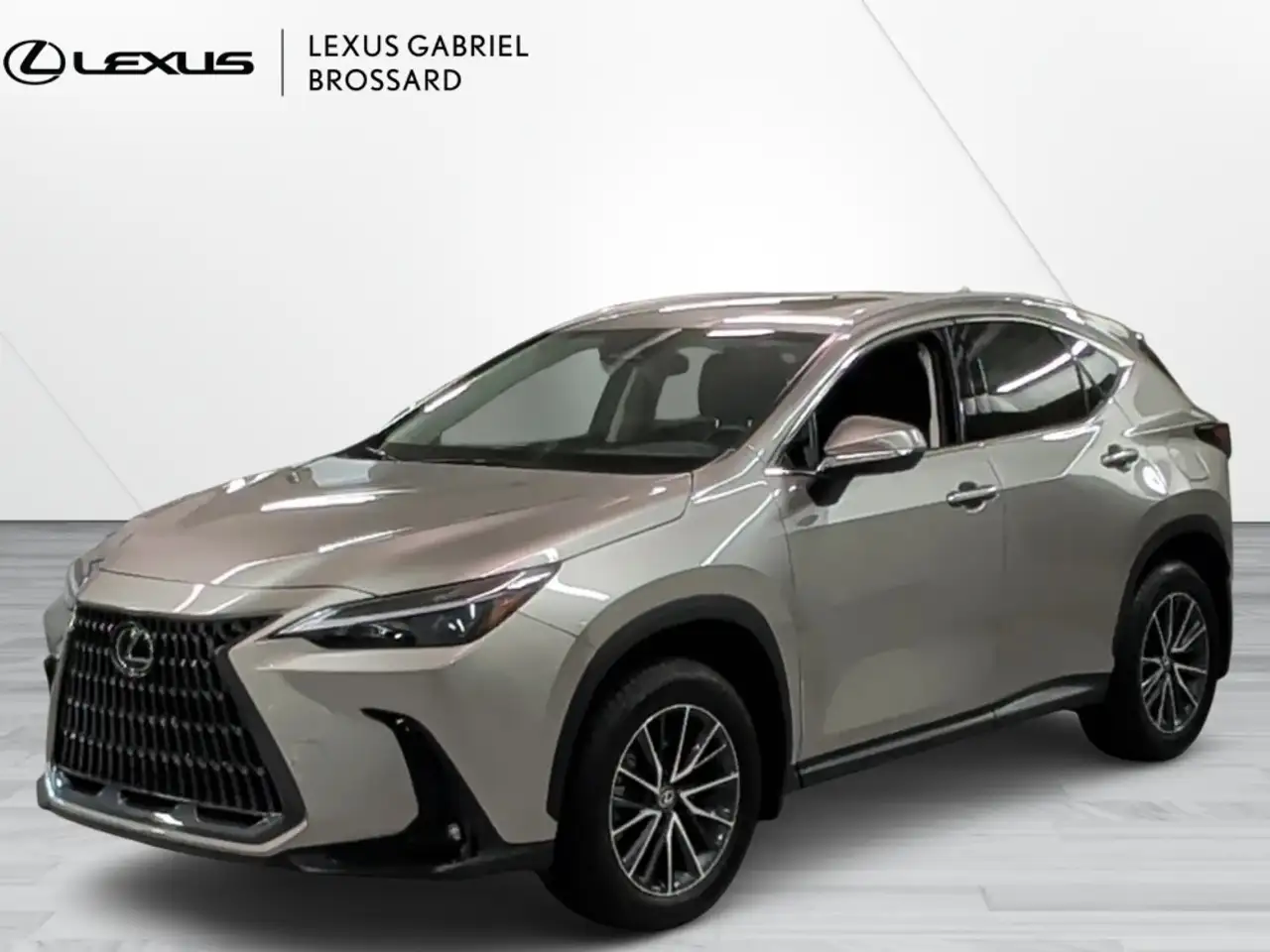 2025 Lexus NX