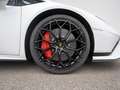 Lamborghini Huracán Tecnica 20" BICOLOR LIFT SENSONUM SPORT SEAT CAMER Bílá - thumbnail 8