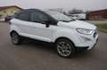 Ford EcoSport Titanium Allrad Leder Sitzhzg Sync3 Wit - thumbnail 3