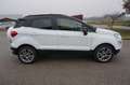 Ford EcoSport Titanium Allrad Leder Sitzhzg Sync3 Wit - thumbnail 8