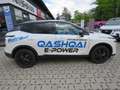 Nissan Qashqai Black Editon e-Power 1,5 VC-T 190PS Wit - thumbnail 13