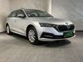 Skoda Octavia Ambition 4x4**LED**Sportsitze**MWST** Grau - thumbnail 6