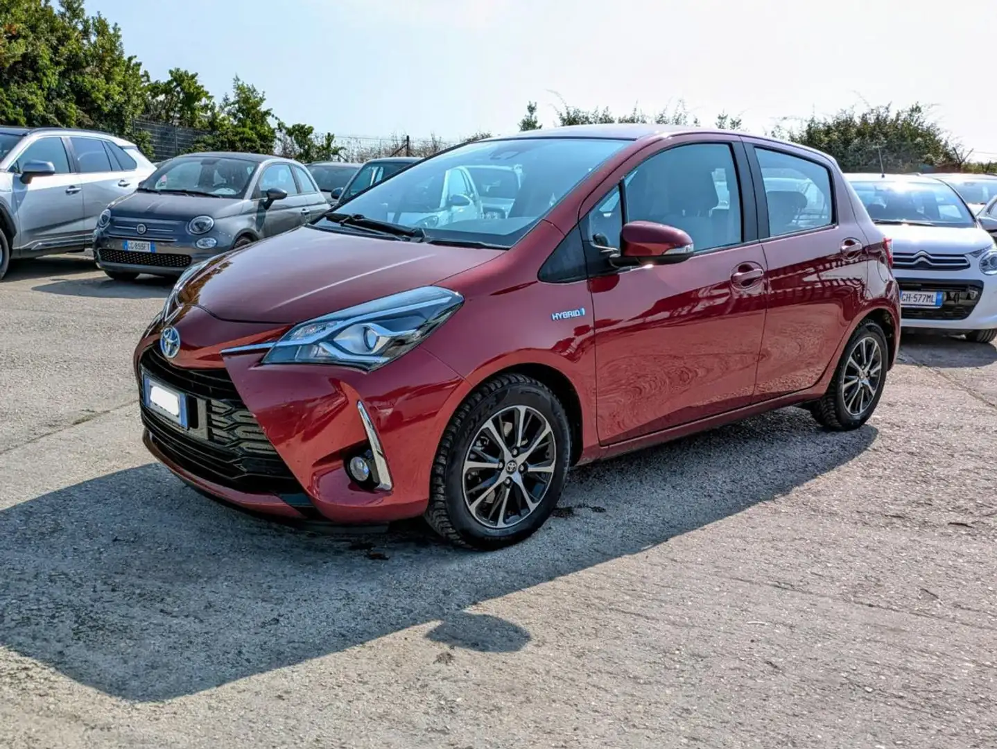 Toyota Yaris BUSINESS 1.5h 73cv SAFETYPACK Rosso - 2