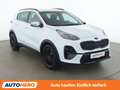 Kia Sportage 1.6 CRDi Mild-Hybrid Black Edition 4WD Weiß - thumbnail 8