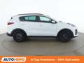 Kia Sportage 1.6 CRDi Mild-Hybrid Black Edition 4WD Weiß - thumbnail 7