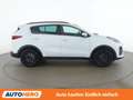 Kia Sportage 1.6 CRDi Mild-Hybrid Black Edition 4WD Weiß - thumbnail 7