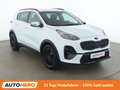 Kia Sportage 1.6 CRDi Mild-Hybrid Black Edition 4WD Weiß - thumbnail 8