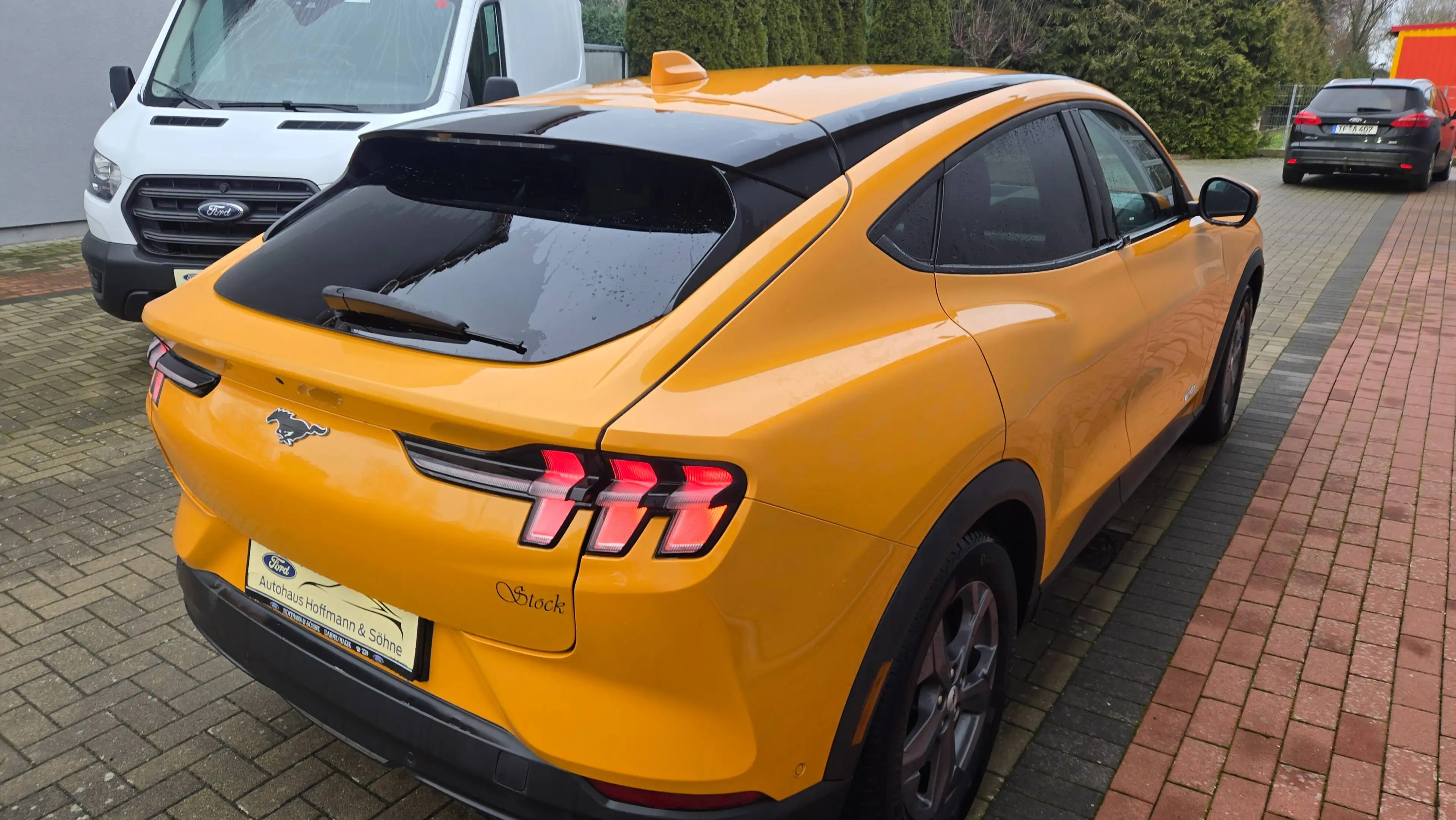 Ford Mustang Mach-E Basis — photo 5