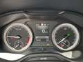 Skoda Kodiaq 2.0 DSG Scout 4x4 ACC DCC LED AHK Grau - thumbnail 11