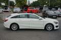 Mercedes-Benz CLA 200 AMG Line Bi-Xenon Panorama Navi PDC USB Weiß - thumbnail 5