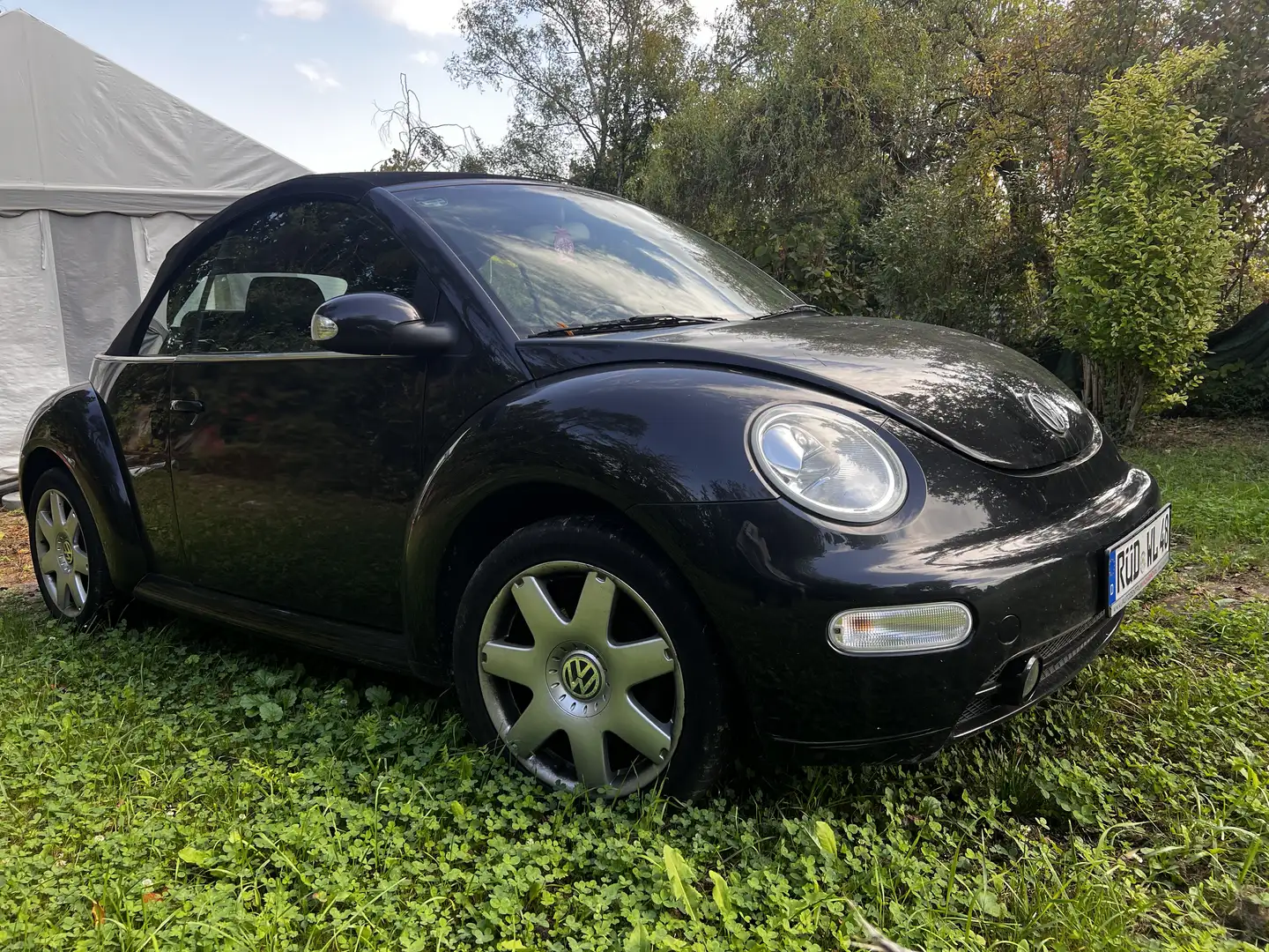 Volkswagen New Beetle Cabriolet 1.9 TDI - 2