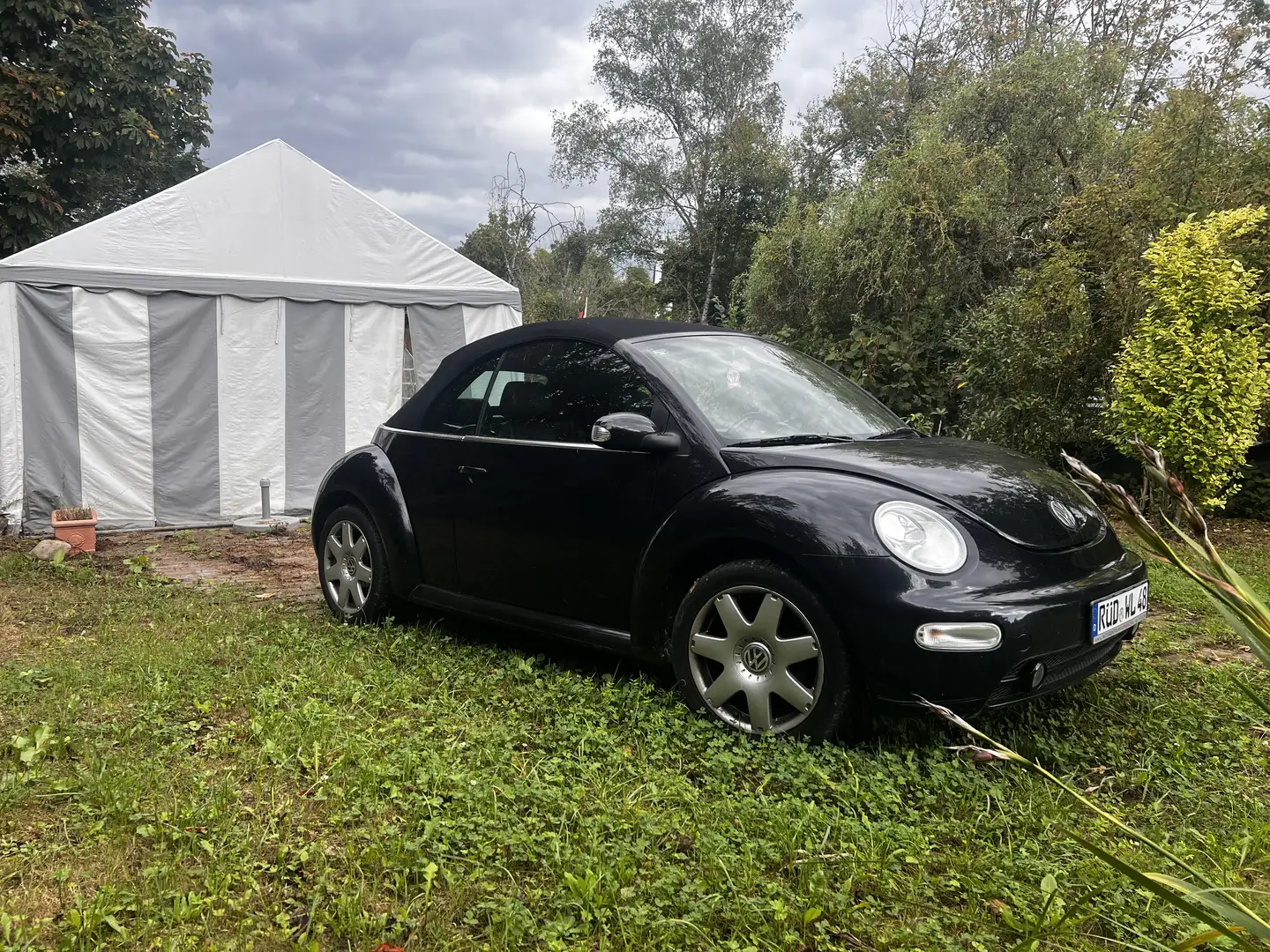 Volkswagen New Beetle Cabriolet 1.9 TDI - 1