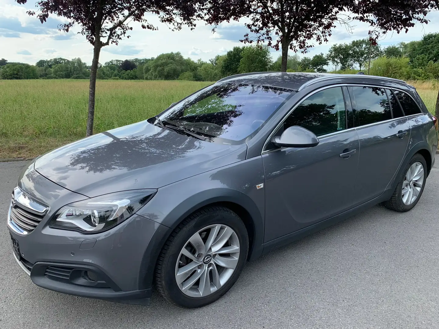 Opel Insignia 2.0 CDTi 4x4 AUTOMATIK *schwenkb.AHK *Navi *Xenon Grau - 1