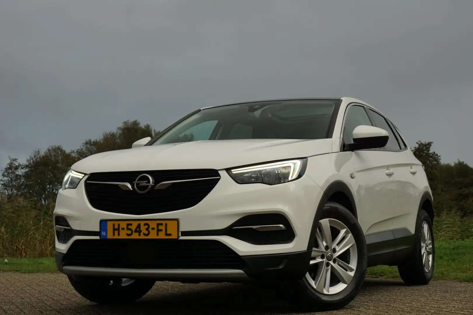 Opel Grandland X 1.2 Turbo Business Executive - Summit White - Pano Bianco - 2