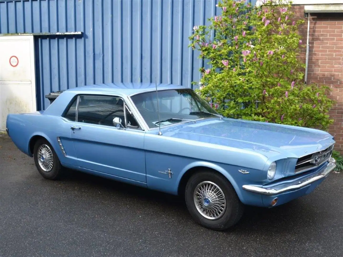 Ford Mustang A code Coupé Bleu - 1