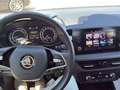 Skoda Fabia 1.0 MPI Emotion 59kW Naranja - thumbnail 24