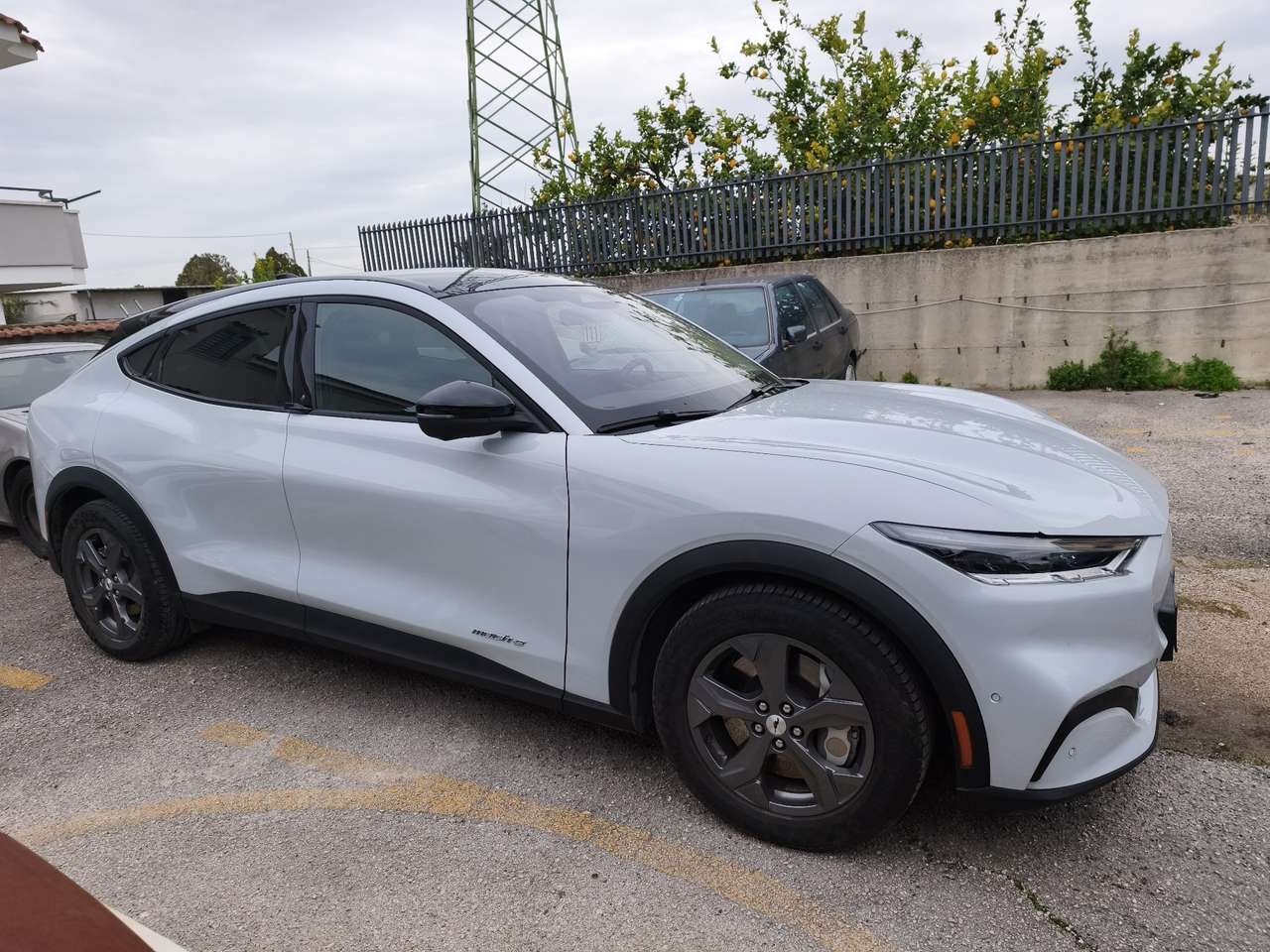 Ford Mustang Mach-e standard range rwd 269cv auto