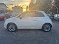 Fiat 500 500 III 1.2 easypower Pop Star Gpl 69cv E6 Beige - thumbnail 4