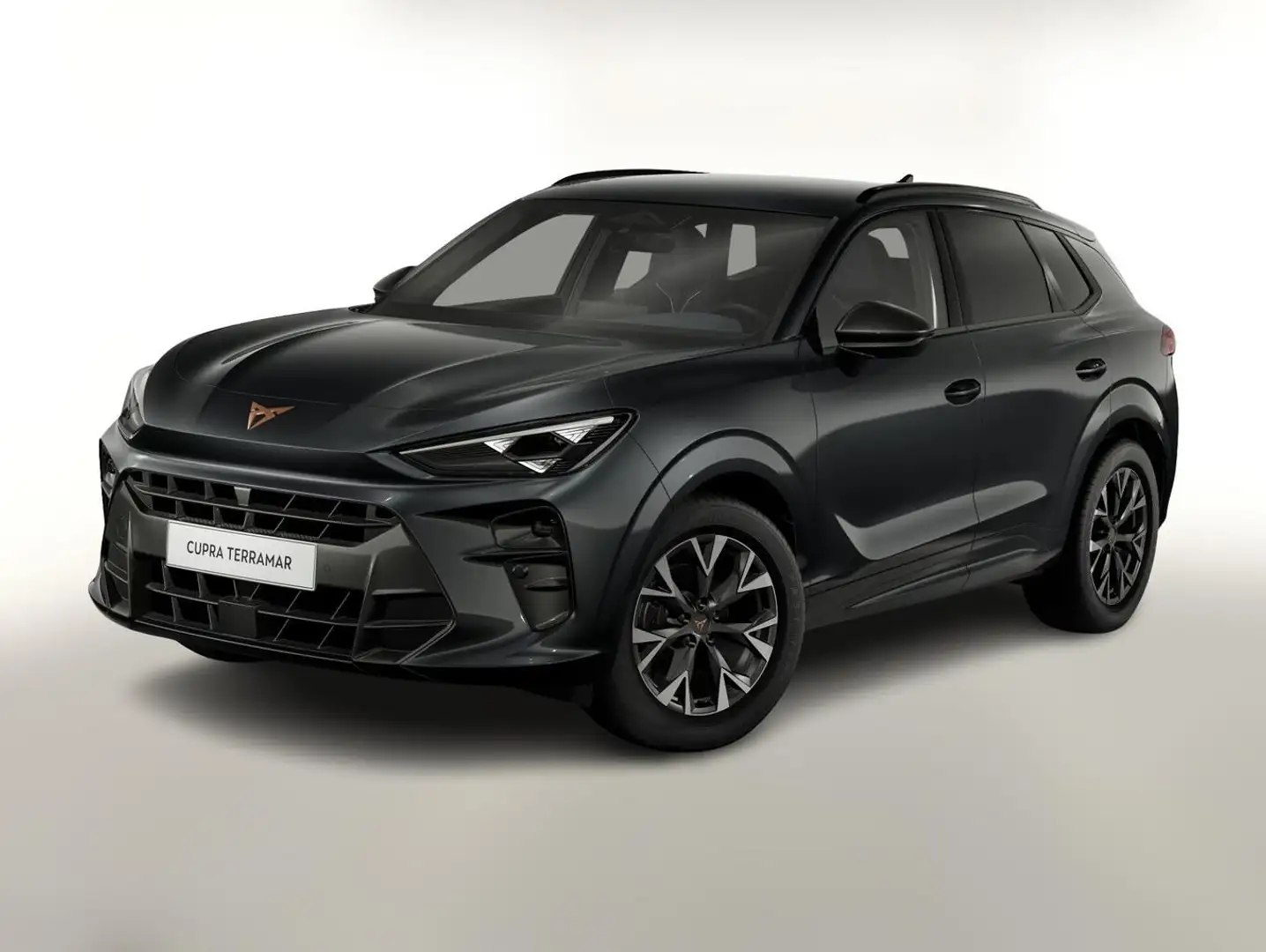 CUPRA Terramar 1.5 eTSI 150 DSG Nav HUD EdgeP LED SHZ 110 kW (... Grau - 1