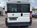 Fiat Ducato Weiß - thumbnail 13