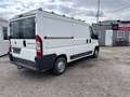 Fiat Ducato Weiß - thumbnail 7