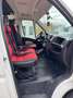 Fiat Ducato Weiß - thumbnail 16