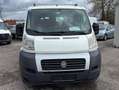 Fiat Ducato Weiß - thumbnail 1