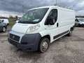 Fiat Ducato Weiß - thumbnail 4