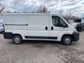 Fiat Ducato Weiß - thumbnail 10
