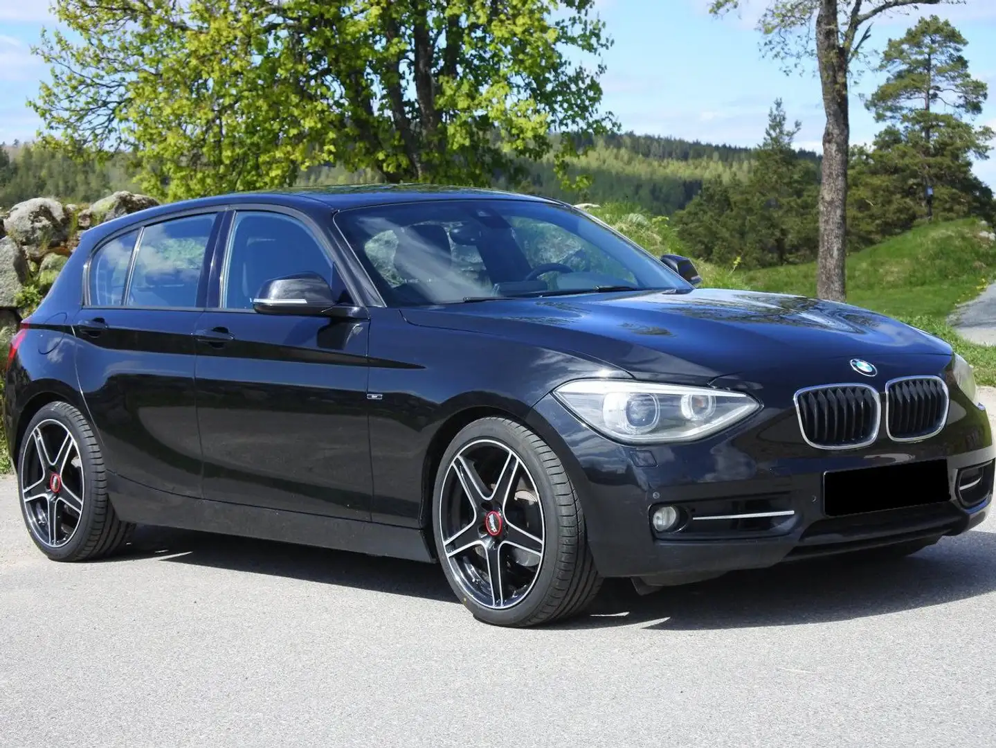 BMW 116 Année du modèle 2012 - 1