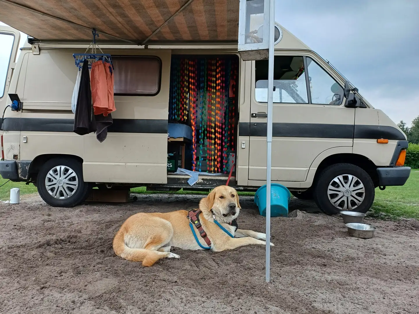 Renault Trafic Бежевий - 1
