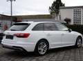 Audi A4 Diesel Avant 30 TDI S tronic line AHK*LED*Kam.*Nav Blanc - thumbnail 4